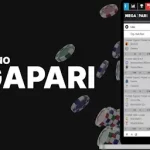 Megapari App